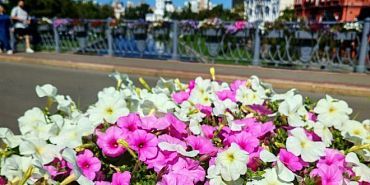 Орловчан на этой неделе ждет аномальная жара