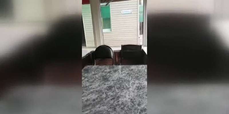 Обед в компании рыжих и усатых: в орловском кафе замечены тараканы