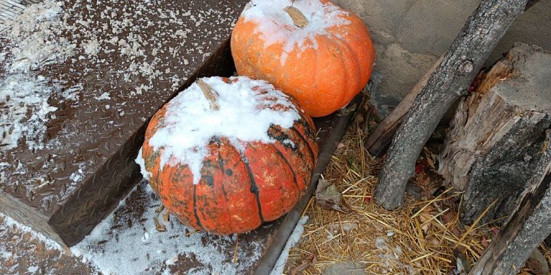 Орловские энергетики подготовились к наступающей непогоде