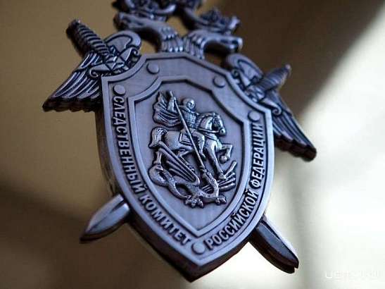 У администрации Железнодорожного района Орла стая собак напала на женщину