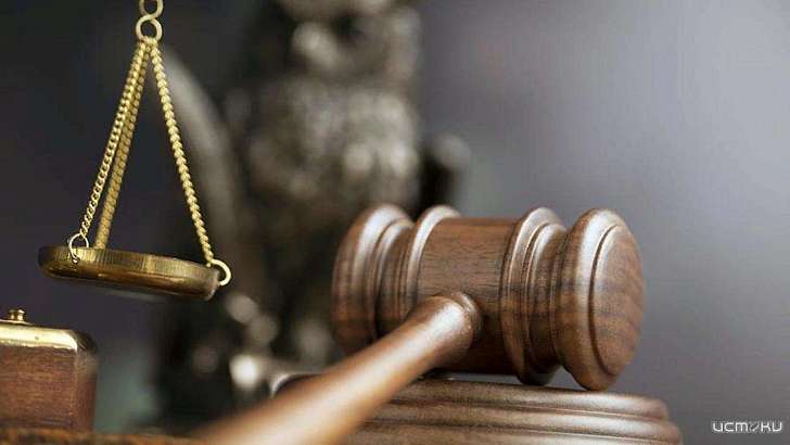 На Орловщине нашли водителя, сбившего 11-летнюю девочку в Хотынце