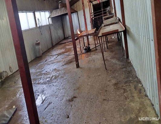 Владелец убойного пункта в Орловской области оштрафован за нарушения ветеринарного законодательства