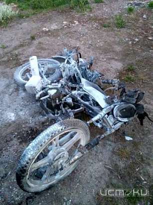 17-летний мопедист погиб в аварии с автобусом в Орловской области 