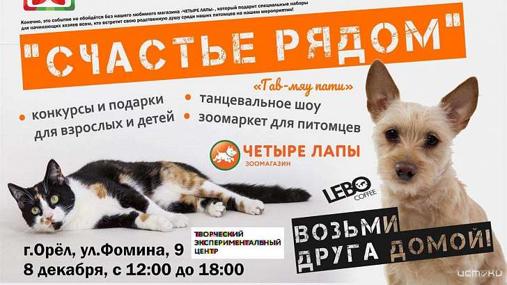 Орловчане смогут найти четвероногого друга на «Гав-мяу-пати»