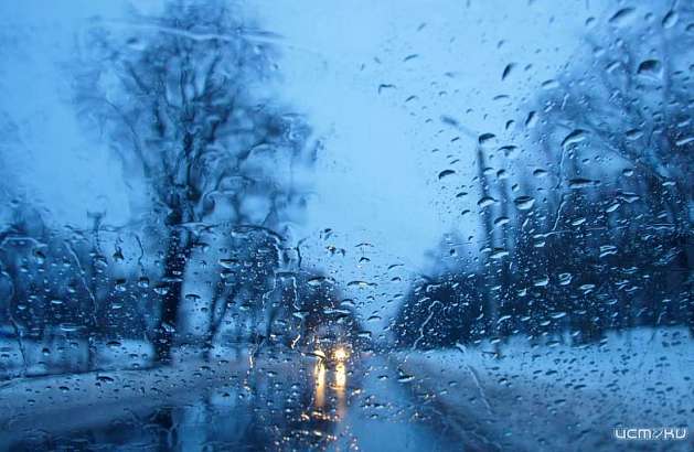 Дождь, сильный ветер и потепление: резкое ухудшение погоды ожидается в Орле