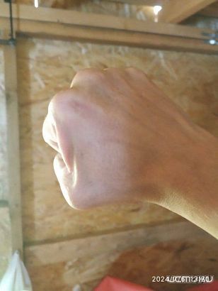 За матерщину и распускание рук на полицейских орловчанин получил приличный штраф