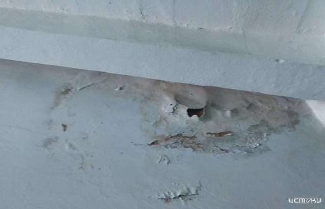 Глазами очевидцев: орловчанин показал последствия потопа в своем подъезде, а также сфотографировал требующий ремонта фасад дома