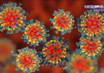 «Предупреждён — значит вооружён». Поговорим о кори — опасном, но предотвратимом заболевании