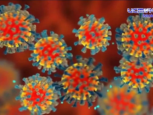 «Предупреждён — значит вооружён». Поговорим о кори — опасном, но предотвратимом заболевании