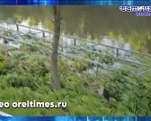 Спешите окунуться в атмосферу русской классики на Всероссийском Тургеневском празднике!