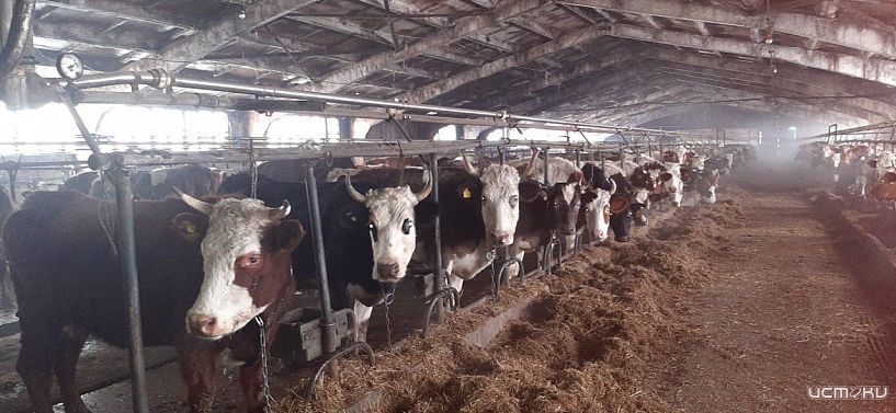 Профилактический визит Россельхознадзора завершился выдачей предписания