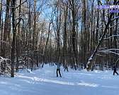 Ориентировщики опробовали новый физкультурный комплекс. В Старый Новый год, невзирая на изменчивую погоду, любители леса и топографии вышли на старты