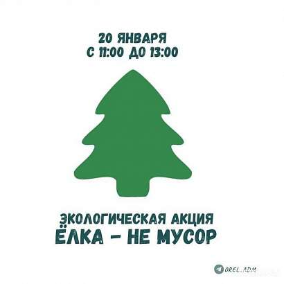 В Орле жители смогут сдать на переработку свои новогодние ёлки