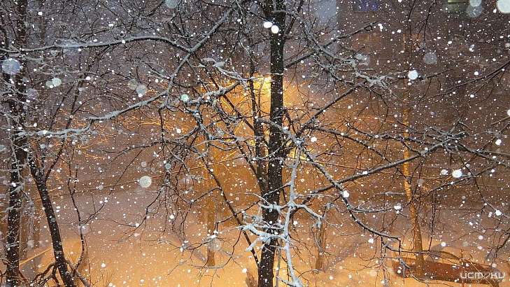 В Орловской области в выходные дни будет зимняя погода