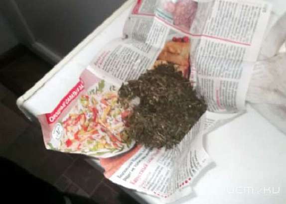 Житель Ливенского района прятал наркотики на кладбище