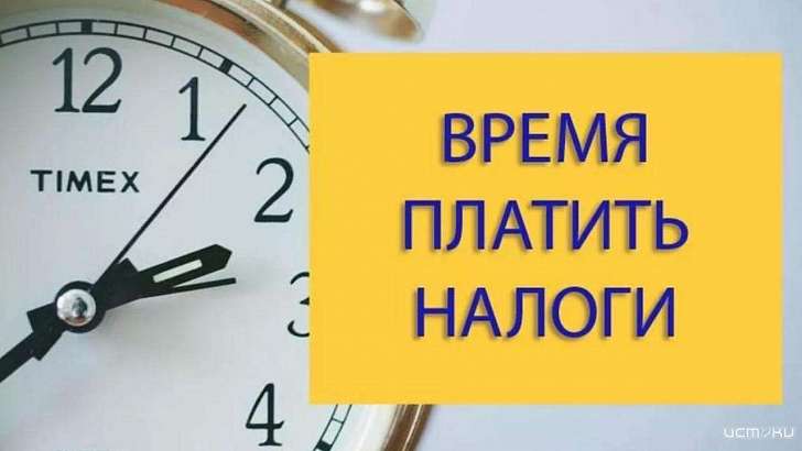 Орловчанам напоминают, что пора платить налоги
