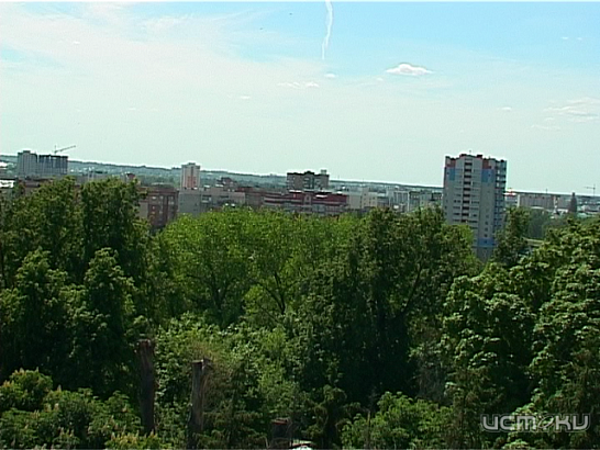 Клещи в Орле заражены боррелиозом, власти закрывают на обработку два городских парка 