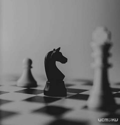 В городе проходит Первенство Орловской области по шахматам