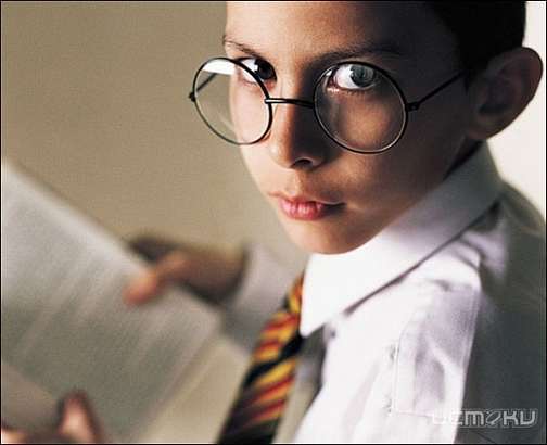 В региональном этапе Всероссийской олимпиады примут участие более 1000 старшеклассников