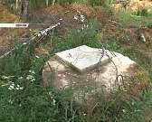 Новости за 90 секунд: Щекотихинский лес выпилят частично, орловский библиотекарь нуждается в поддержке земляков, а студенты ОГУ пообщались с Марианной...