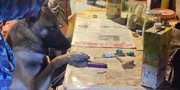 Житель Орловской области предстанет перед судом за незаконное хранение оружия, наркотиков и кражу