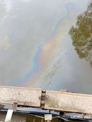 «Это год экологии отмечают так»