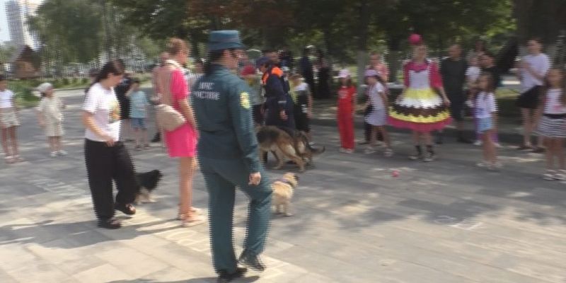 МЧС обучение в парке