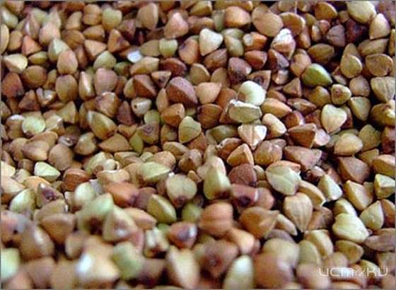 УФАС посчитало рост цен на гречку обоснованным