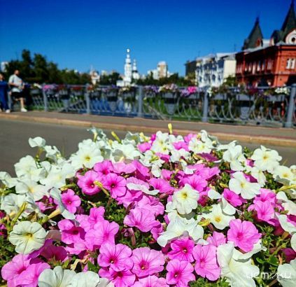 Орловчан на этой неделе ждет аномальная жара