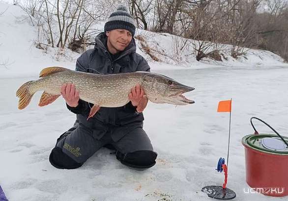 17-летнюю щуку поймал в реке житель Орловской области