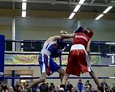 В Орле стартовало открытое первенство города по боксу