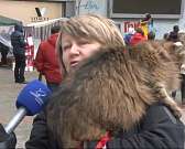 В Орле прошла необычная выставка