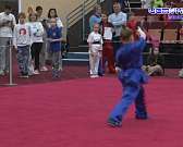 В Орле завершился турнир по ушу «ПУТЬ ВОИНА»