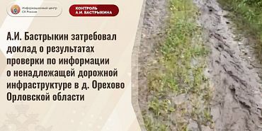 дороги Следственный комитет  Туда не едете даже скорая: дело о дороге в орловской деревне дошло до Бастрыкина