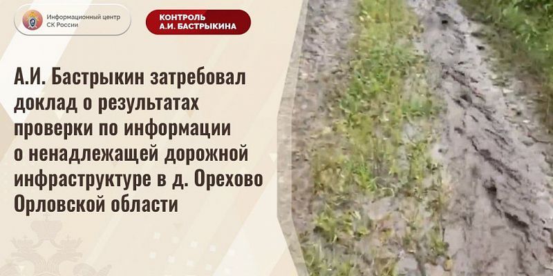 дороги Следственный комитет  Туда не едете даже скорая: дело о дороге в орловской деревне дошло до Бастрыкина