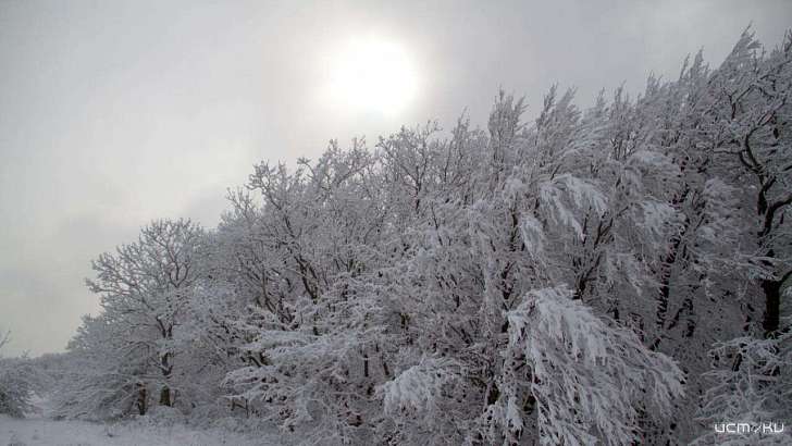 Сегодня в Орле будет облачно и морозно