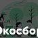 Сегодня в деревне Жилина пройдет «ЭкоСбор»