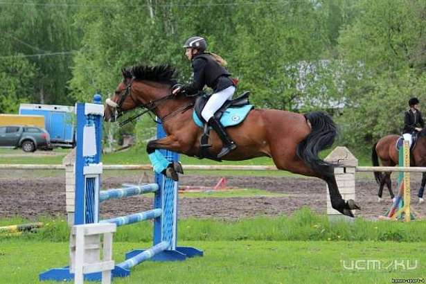 В Ледно пройдёт турнир по конному спорту