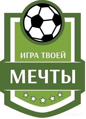 В Орле пройдут игры II отборочного этапа V Всероссийского турнира для детей из детских домов и школ-интернатов «Игра твоей мечты»