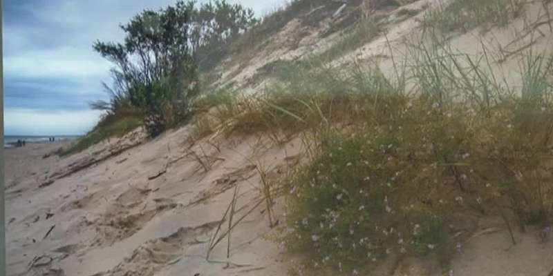 «От средней полосы до северных морей»: орловские фотографы показали нашу необъятную Россию