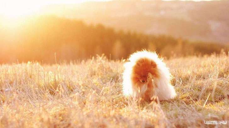 В Орел вновь возвращаются солнце и тепло