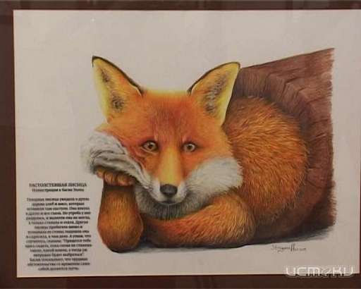 В Орле открылась выставка известного московского художника-анималиста