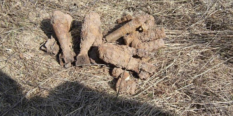 Несколько взрывоопасных предметов уничтожили орловские спасатели