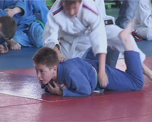 Открытое первенство города Орла по дзюдо