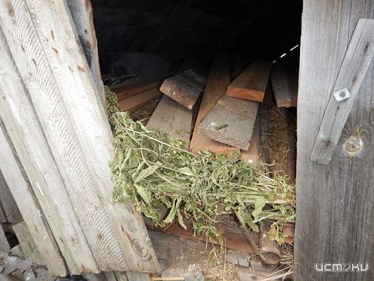 У жителя Орловской области нашли несколько килограммов запрещенного вещества