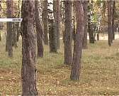 Новости за 90 секунд: студенты мединститута приняли этический кодекс, орловский школьник скончался от вдыхания паров дезодоранта, и лишь два выпускник...