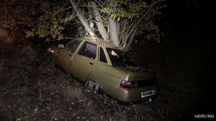 В Орловской области машина с двумя детьми на большой скорости въехала в дерево