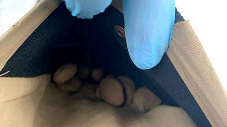 Орловчанин попался полицейским во время закладки наркотиков в тайник 