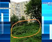 На Орловщине выявили 53 факта сбыта фальшивых денежных знаков. На территории рынка "Орловская Нива" установили рекламный щит, но для этого спилили 9 з...