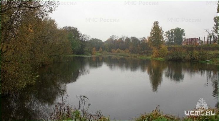 Во Мценском районе погибла пенсионерка, упавшая в пруд